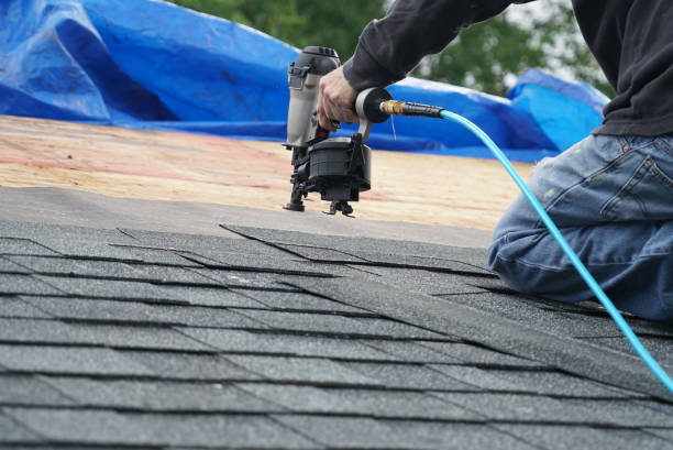 Best Roof Gutter Cleaning  in Chilhowie, VA
